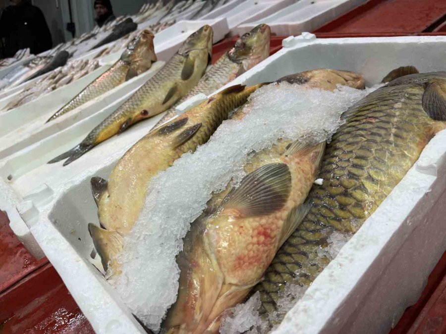 Geciken Kış Konya’da Balığı Da Vurdu