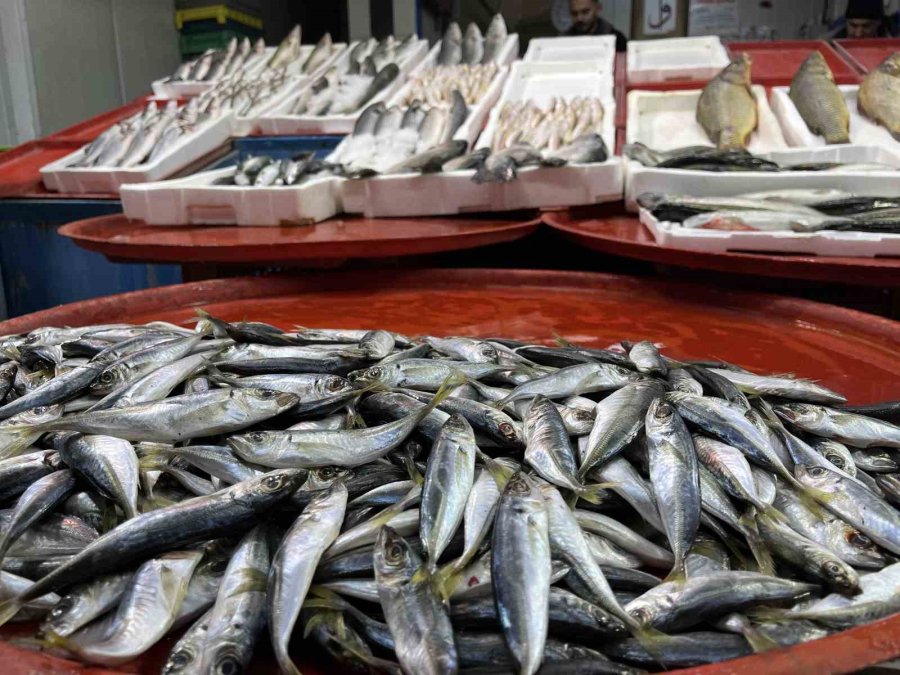 Geciken Kış Konya’da Balığı Da Vurdu