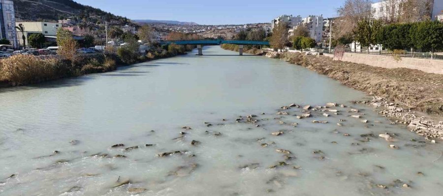 Göksu Siyah Akmaya Başladı, Akıllara 3 Yıl Önceki Hadise Geldi