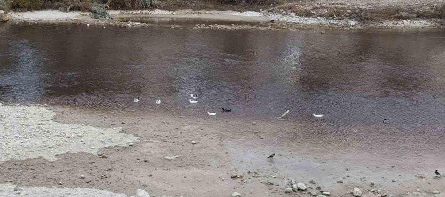 Göksu Siyah Akmaya Başladı, Akıllara 3 Yıl Önceki Hadise Geldi