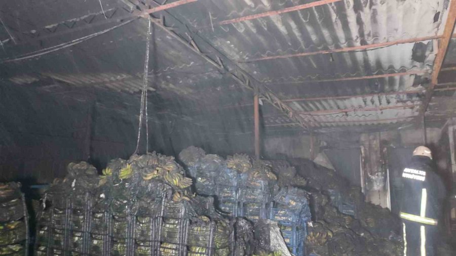 Alanya’da Muz Sarartma Tesisinde Yangın: Tonlarca Muz Zarar Gördü