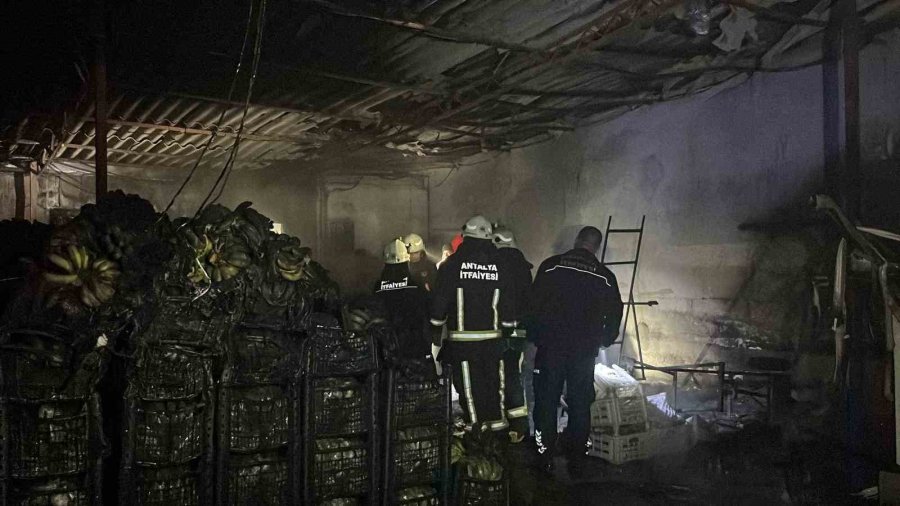 Alanya’da Muz Sarartma Tesisinde Yangın: Tonlarca Muz Zarar Gördü