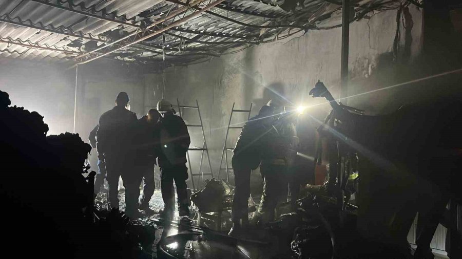 Alanya’da Muz Sarartma Tesisinde Yangın: Tonlarca Muz Zarar Gördü