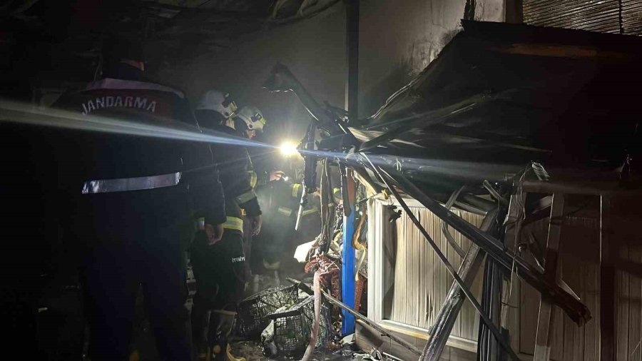 Alanya’da Muz Sarartma Tesisinde Yangın: Tonlarca Muz Zarar Gördü