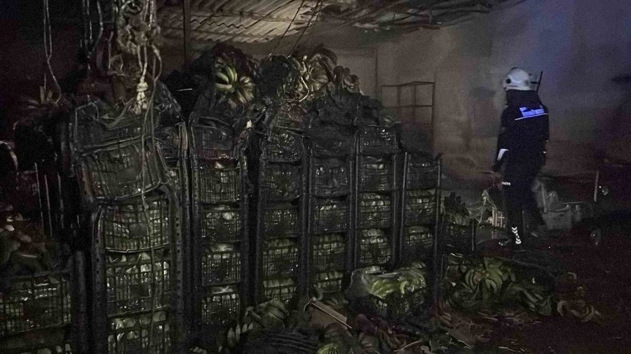 Alanya’da Muz Sarartma Tesisinde Yangın: Tonlarca Muz Zarar Gördü