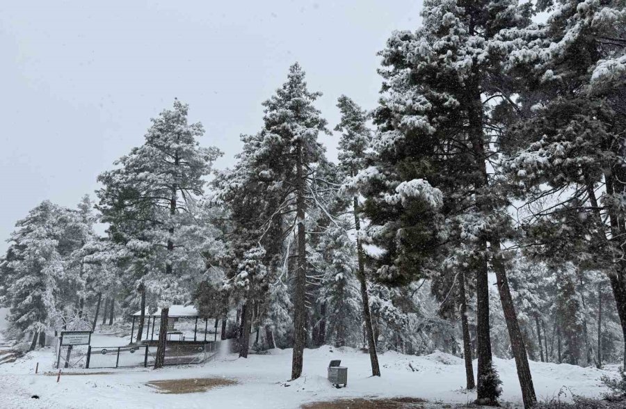 Yaz Şehri Mersin’de Kar Birçok Mahalleyi Beyaza Bürüdü