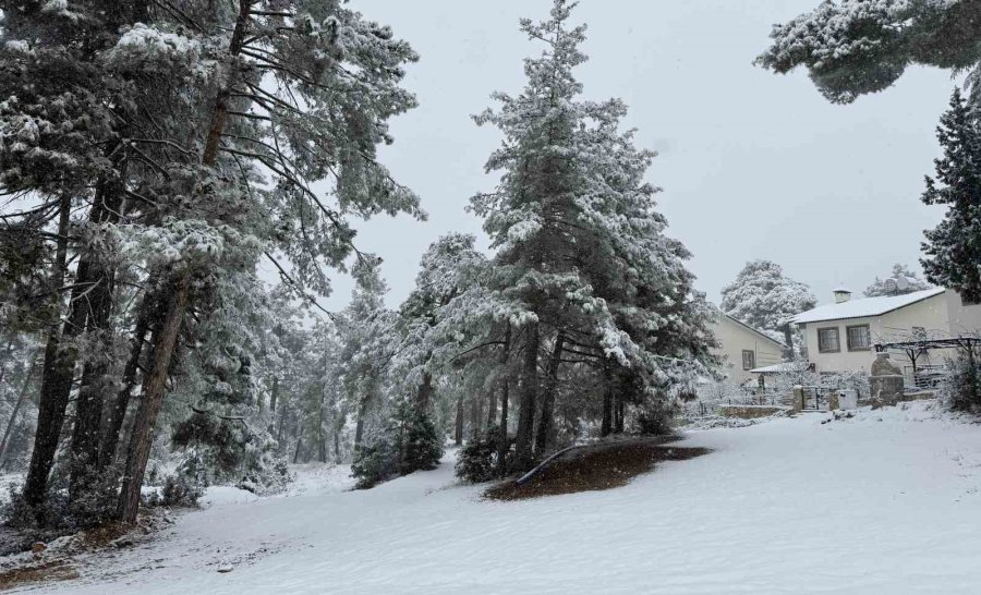 Yaz Şehri Mersin’de Kar Birçok Mahalleyi Beyaza Bürüdü