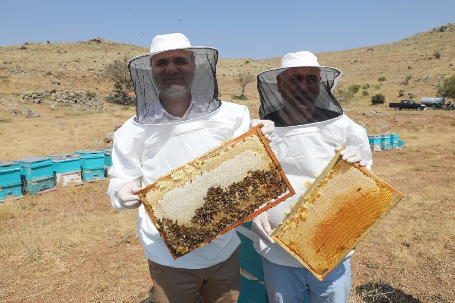 Niğde’nin ’geven Balı’ Coğrafi İşaretle Tescillendi