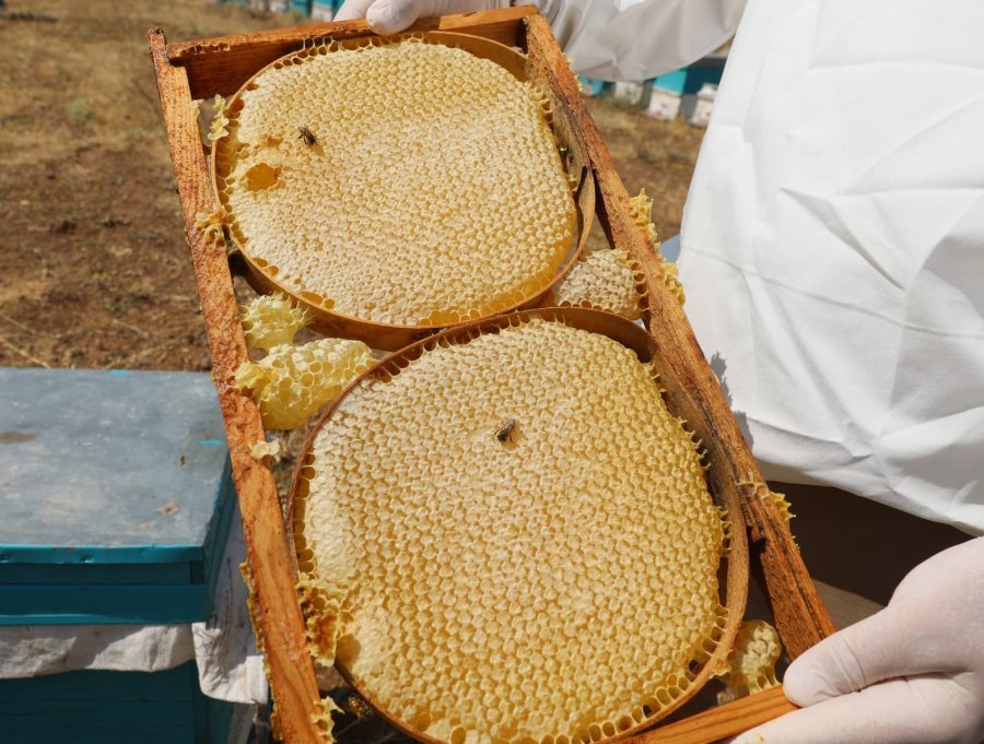 Niğde’nin ’geven Balı’ Coğrafi İşaretle Tescillendi
