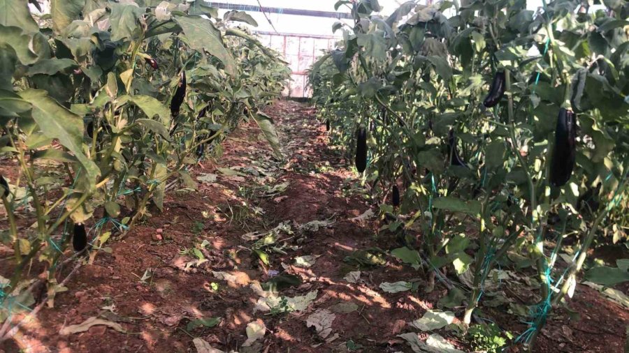 Yeni Yıla ’don’ Nöbetiyle Girdiler