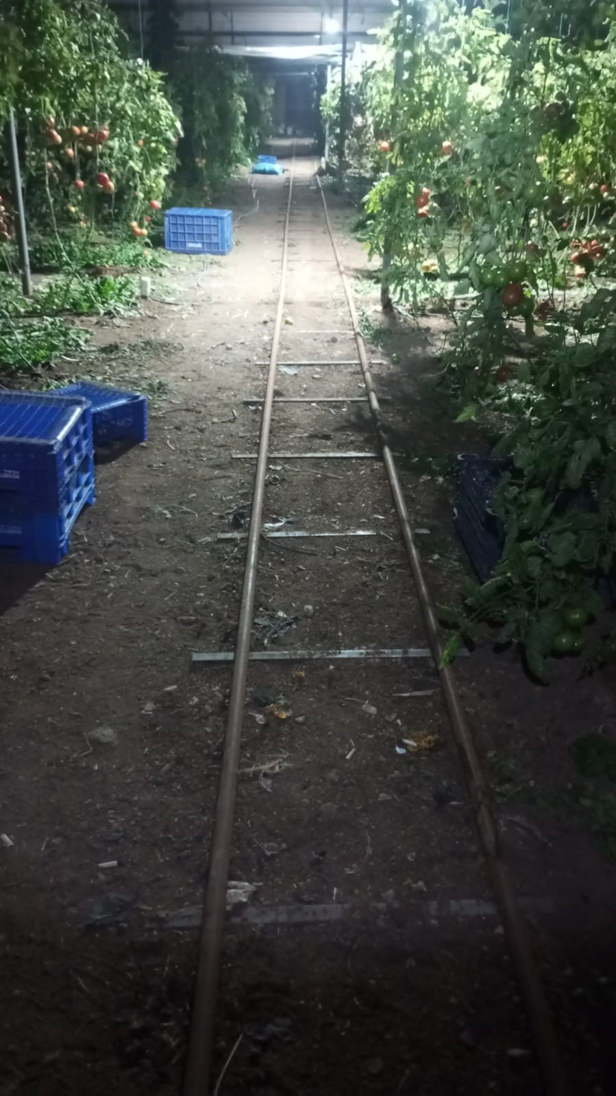 Yeni Yıla ’don’ Nöbetiyle Girdiler