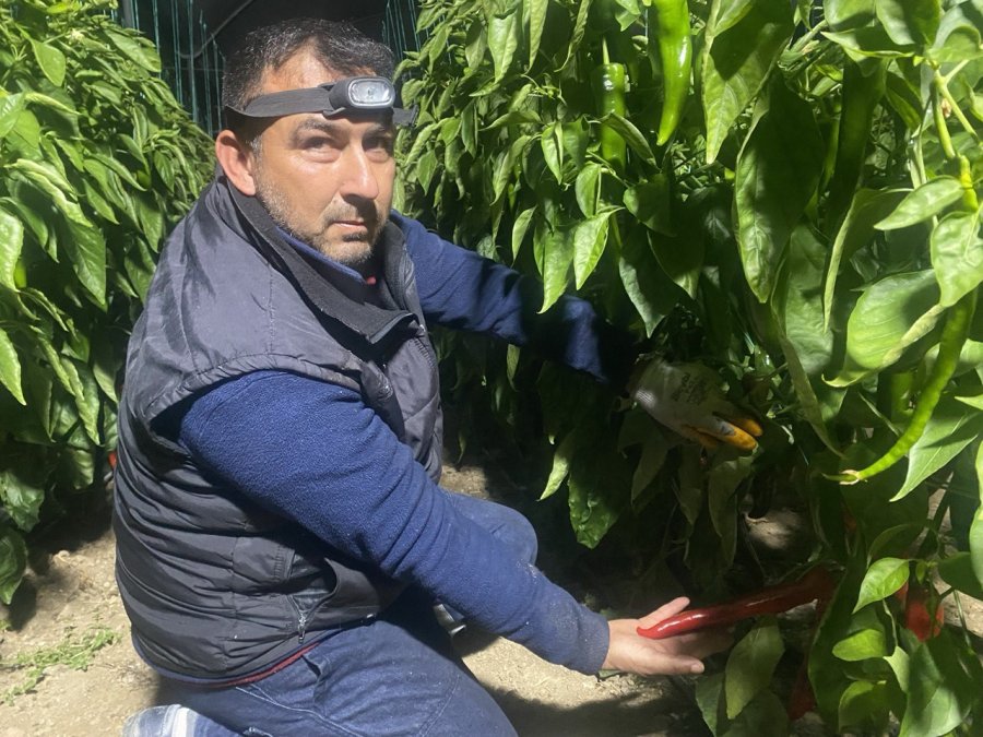 Antalya’da Üretici Don Nöbetinde