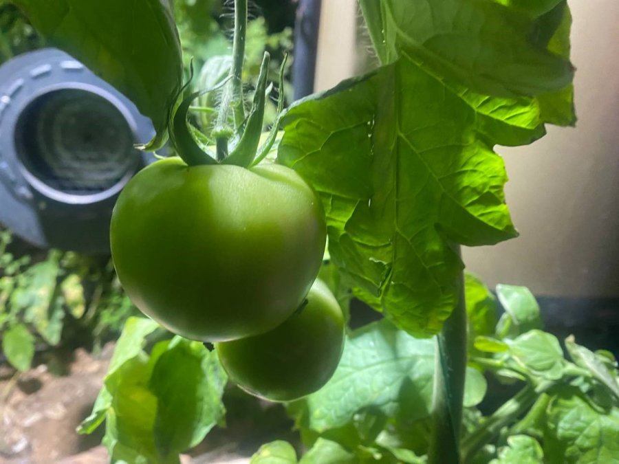 Antalya’da Üretici Don Nöbetinde