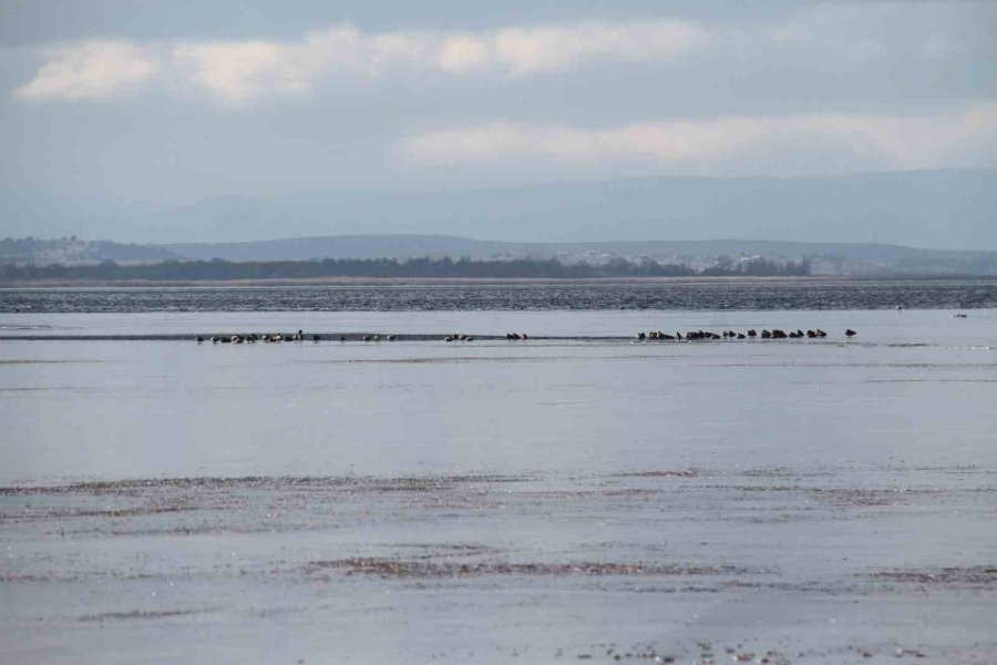 Şiddetli Soğuklar Beyşehir Gölü Kıyılarının Buz Tutmasına Yol Açtı