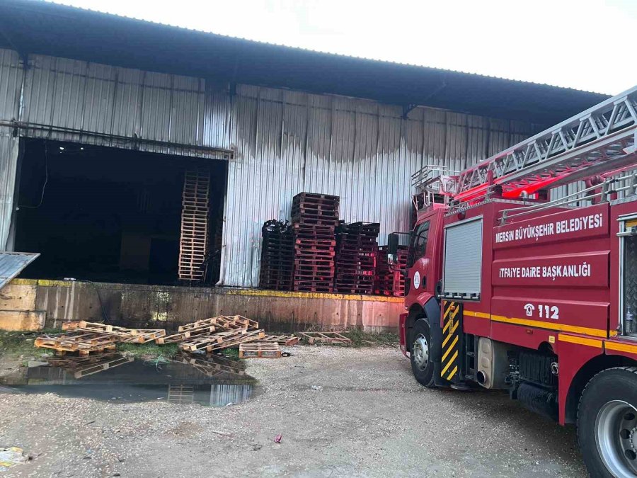 Narenciye Fabrikasında Yangın Çıktı, Çok Sayıda Ekip Müdahale Etti