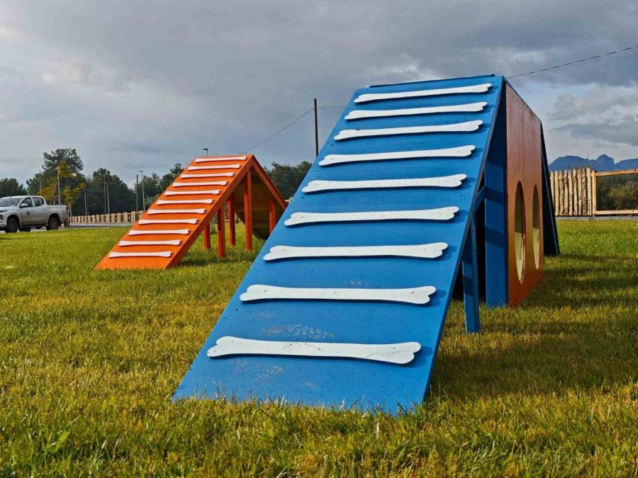 Kepez Belediyesi’nden Hayvan Dostu Hizmet: Köpek Oyun Parkı