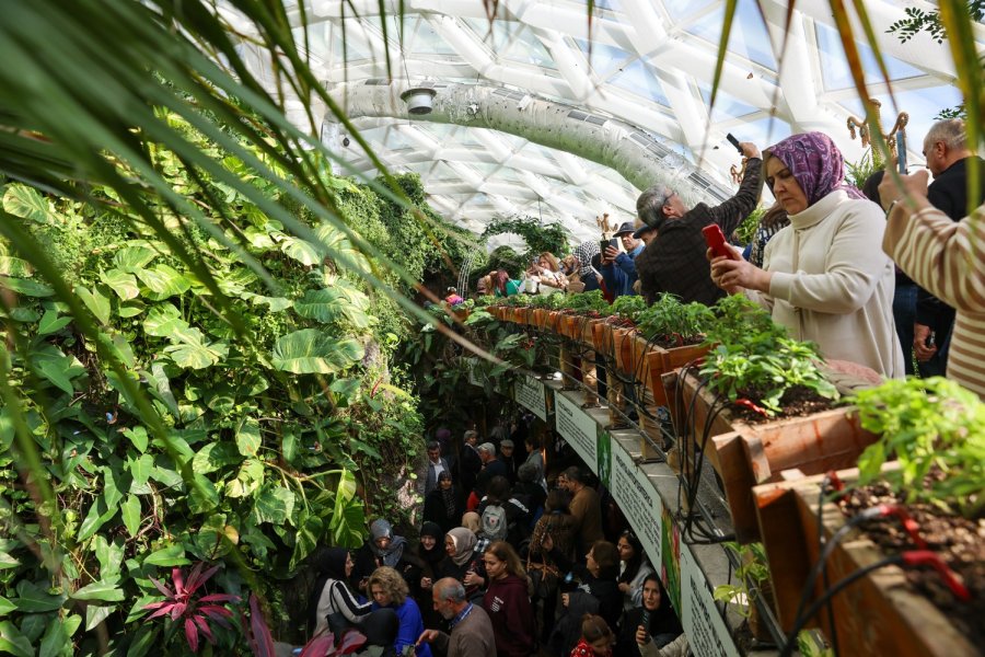 Konya Tropikal Kelebek Bahçesi 2025’te 603 Bin, Toplamda 4 Milyon 136 Bin 888 Ziyaretçiyi Ağırladı