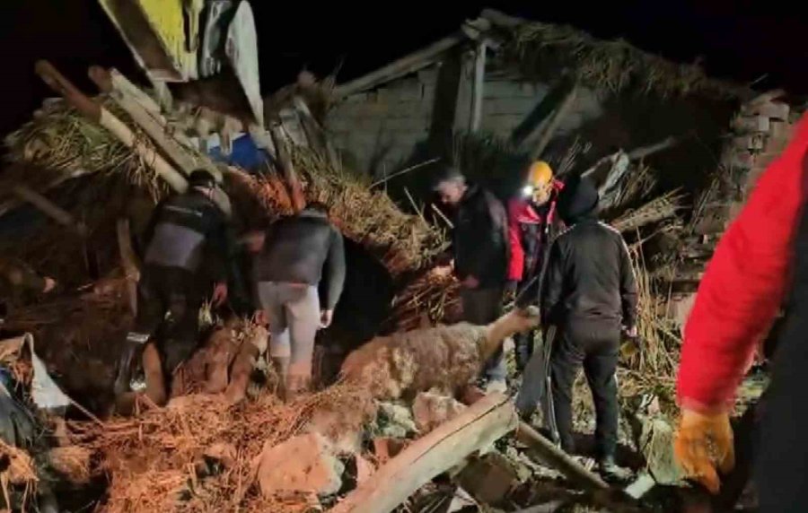 Aksaray’da Mandıra Çöktü, Çok Sayıda Hayvan Telef Oldu