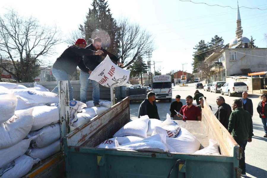 Büyükşehir’den 2025 Yılında Hayvancılığa 503 Bin 625 Kg Yem Desteği