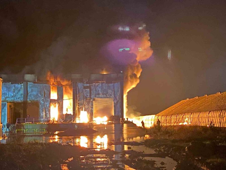 Antalya’da Market Deposu Alev Alev Yandı, Temel Gıda Alanı Küle Döndü