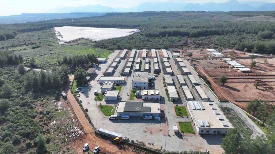 Sokak Hayvanları Geçici Bakımevi Can Dostlara Yeni Yuva Yolu Oluyor