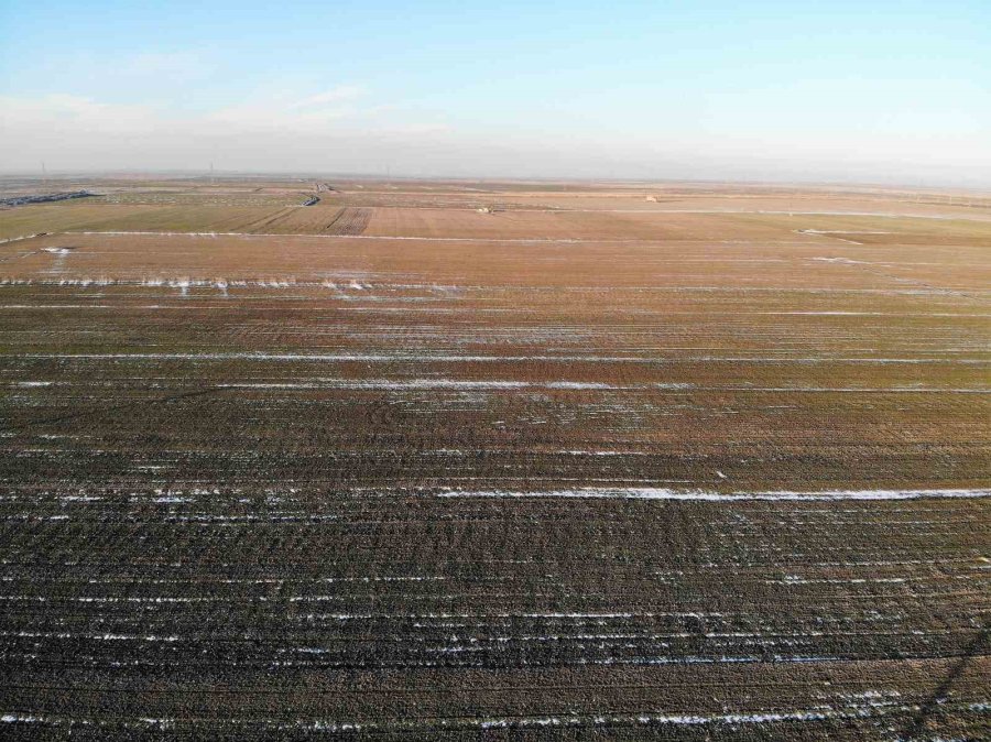 Konya Ovası’nda Karsız Sezon Endişesi