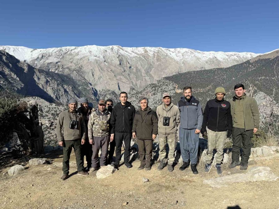 Toroslardaki Yaban Keçileri Koruma Altında