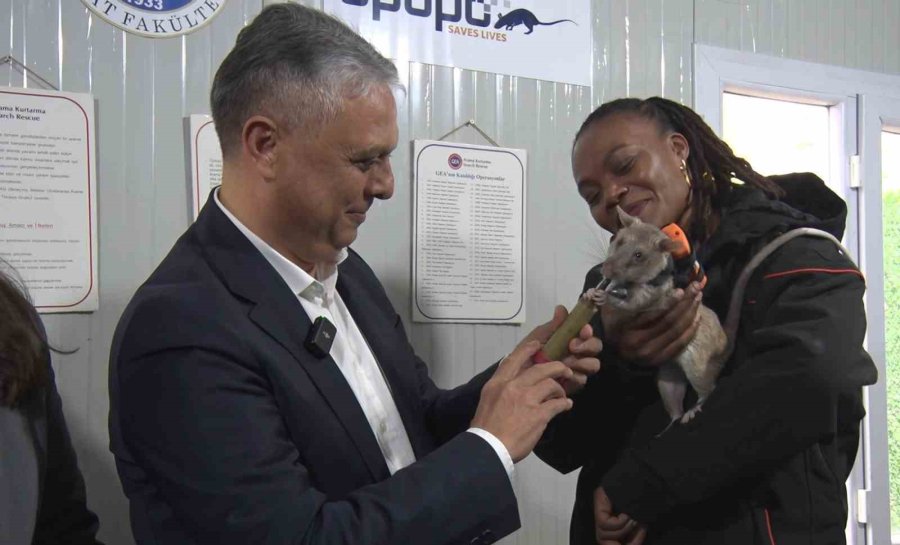 Arama Kurtarmada Yeni Dönem: Enkaz Altında Kalanları Kahraman Fareler Kurtaracak