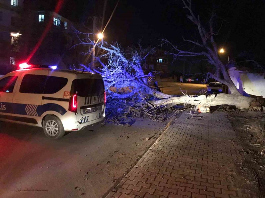 Ereğli’de Şiddetli Rüzgar Ağaçları Devirdi, Çatıları Uçurdu