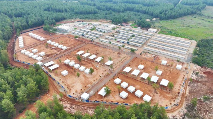 Büyükşehir Sokak Köpekleri İçin Doğal Yaşam Alanı Kapasitesini Arttırdı