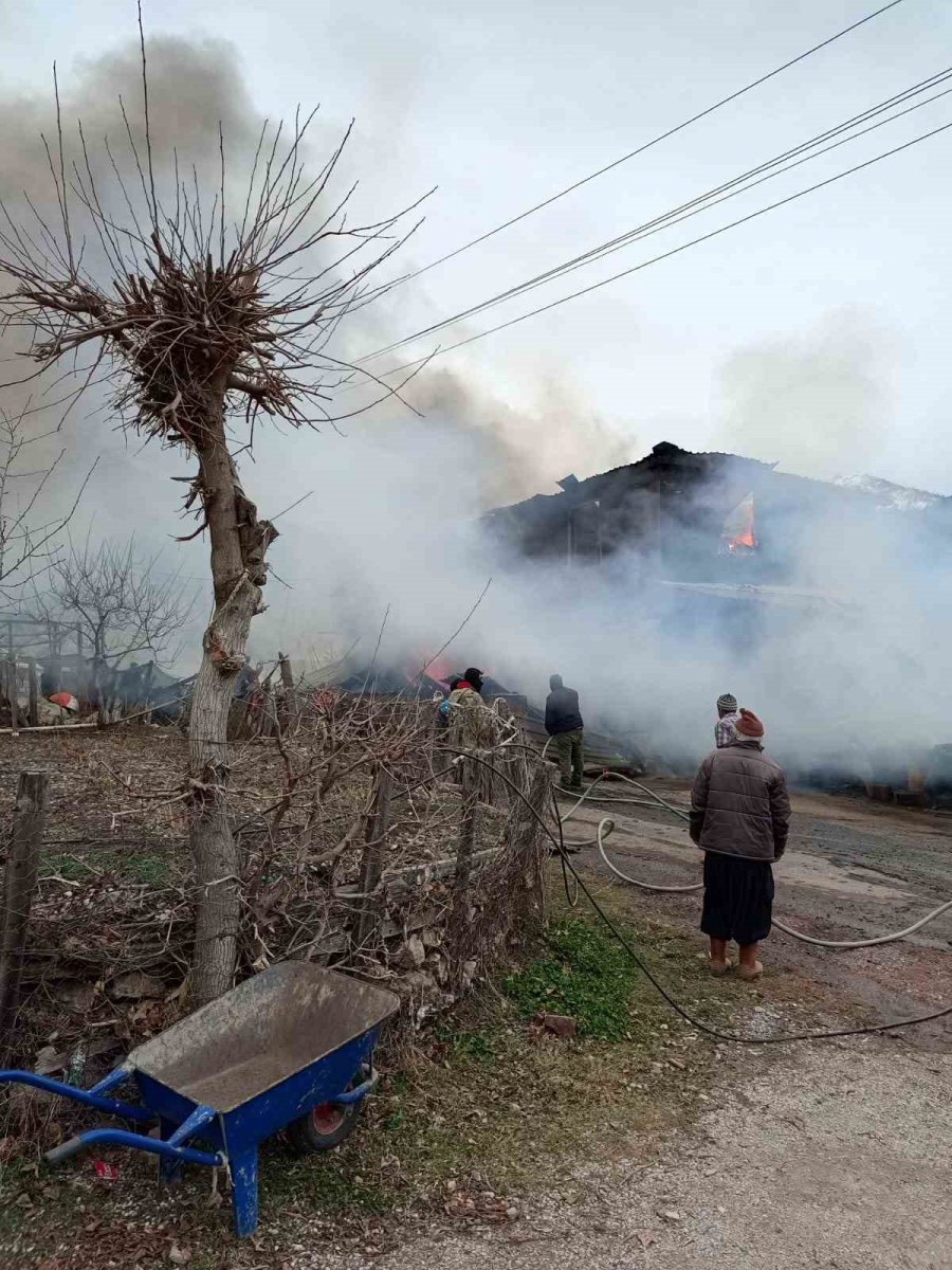 Çıkan Yangında Ev Küle Döndü, 1 Kişi Dumandan Etkilendi, 3 Hayvan Telef Oldu