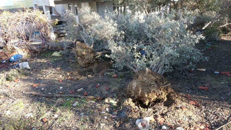 Antalya’daki Hortum Anı Kamerada: Konteynerler Savruldu, Araç Gitmekte Zorlandı