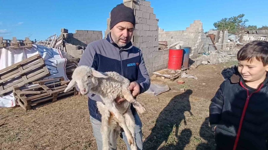 Antalya’daki Hortum Anı Kamerada: Konteynerler Savruldu, Araç Gitmekte Zorlandı