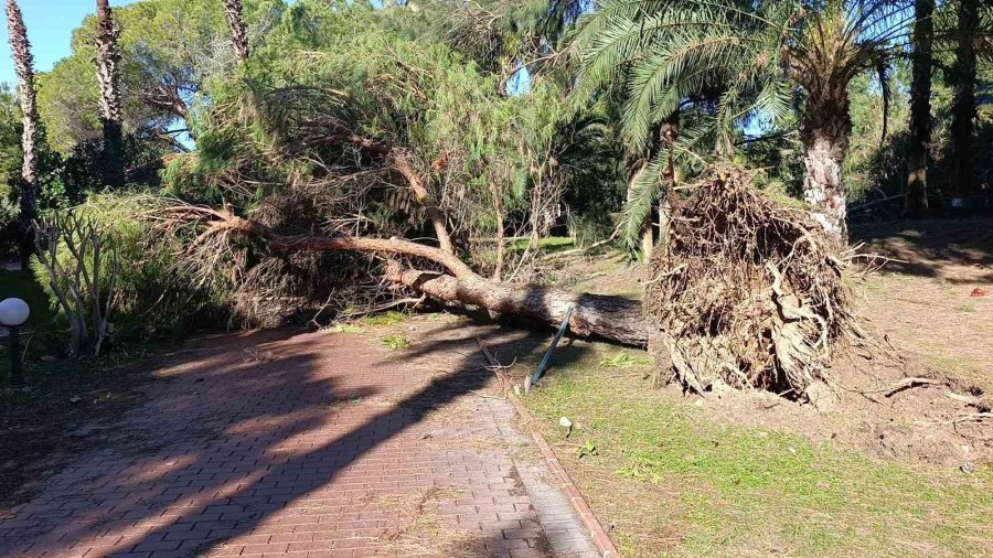Antalya’daki Hortum Anı Kamerada: Konteynerler Savruldu, Araç Gitmekte Zorlandı
