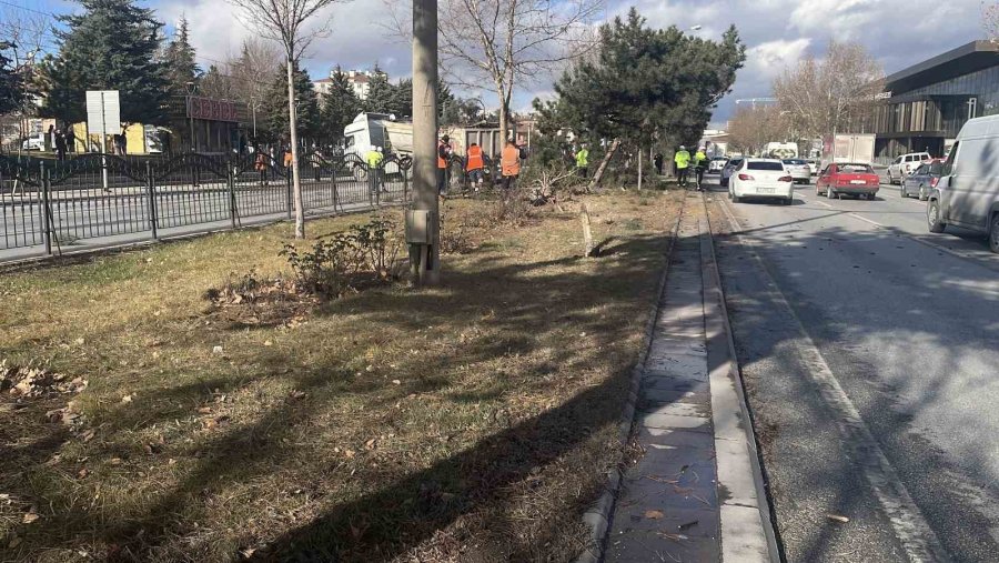 Görenleri Pes Dedirten Kazada Tır Ağaçları Ezip Karşı Şeritte Durabildi