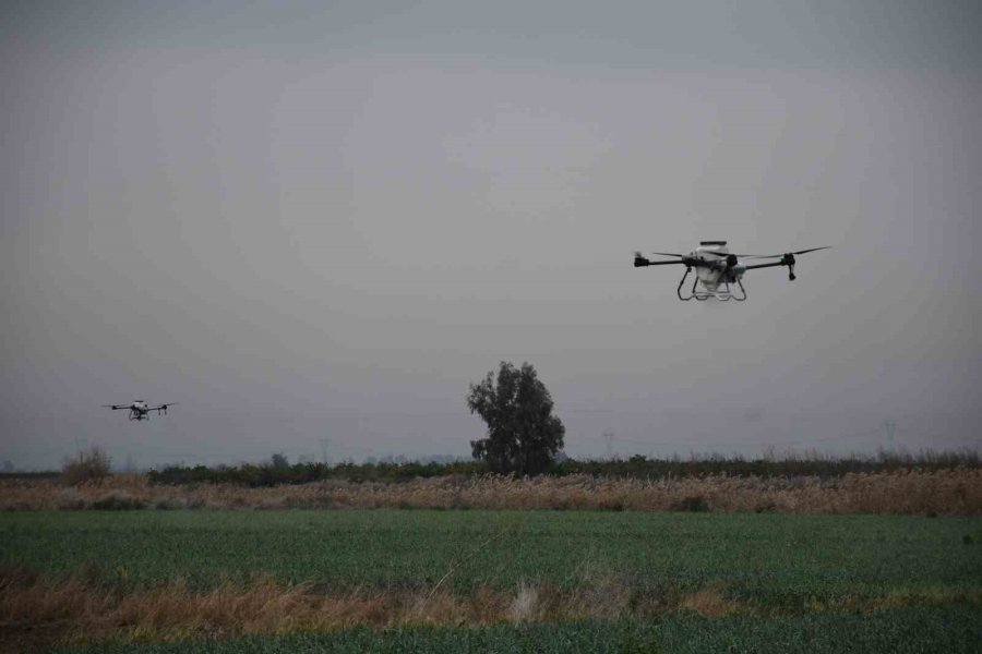 Mersin’de Dronla Gübreleme Ve İlaçlama Çiftçinin Zayiatını Sıfıra İndirdi, Zamandan Tasarruf Sağladı