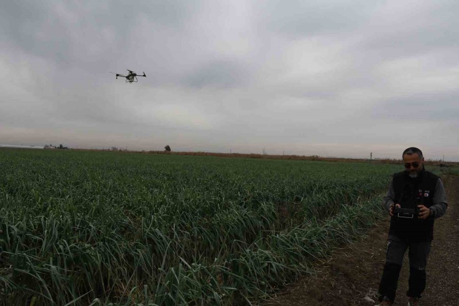 Mersin’de Dronla Gübreleme Ve İlaçlama Çiftçinin Zayiatını Sıfıra İndirdi, Zamandan Tasarruf Sağladı