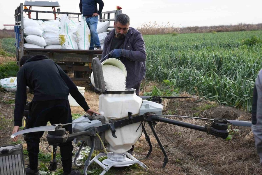 Mersin’de Dronla Gübreleme Ve İlaçlama Çiftçinin Zayiatını Sıfıra İndirdi, Zamandan Tasarruf Sağladı