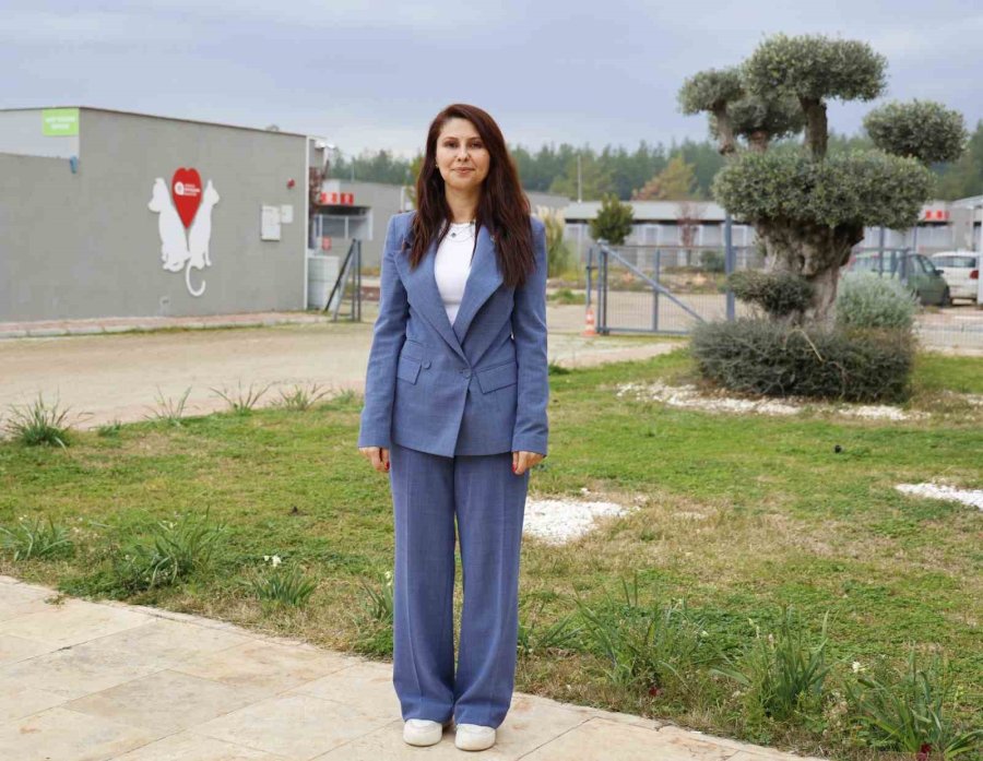 Büyükşehir Sokak Köpekleri İçin Doğal Yaşam Alanı Kapasitesini Arttırdı