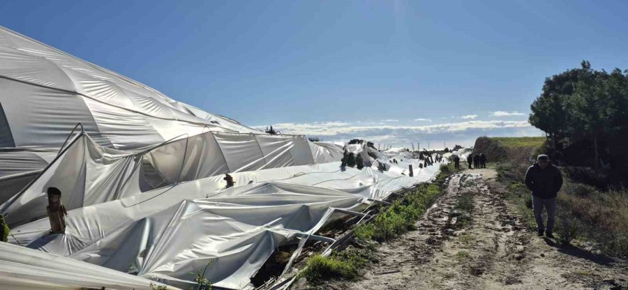 Manavgat’ta Hortumdan Zarar Gören Bölgelerde Hasar Tespit Çalışması Yapıldı
