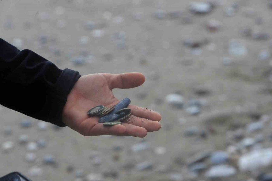 Define Avcıları Fırtınada İş Başında: Dev Dalgaların Vurduğu Sahilde Dedektörle Arama Yaptılar