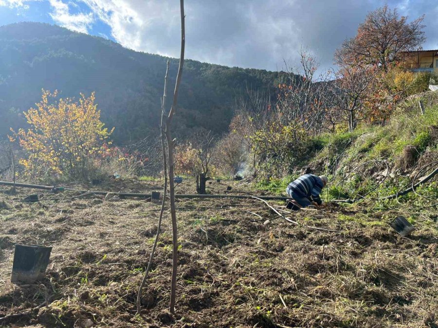 Antalya’da 82 Yaşındaki Yeminli Mali Müşavirden Köy Hayatına Örnek Proje