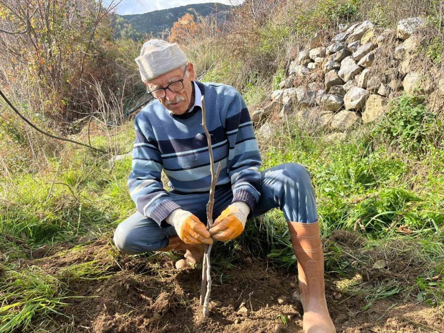 Antalya’da 82 Yaşındaki Yeminli Mali Müşavirden Köy Hayatına Örnek Proje