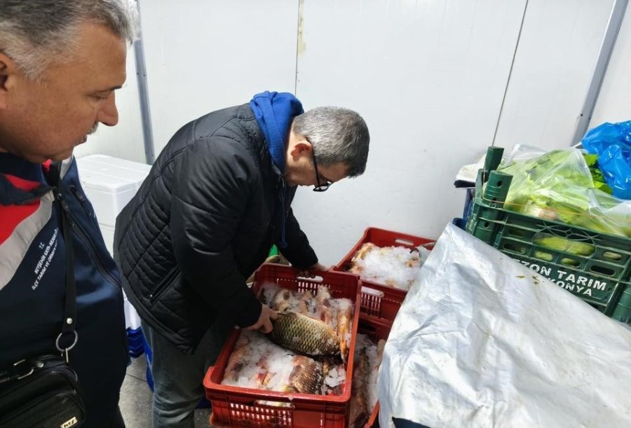 Beyşehir’de Yasa Dışı Avcılığa Geçit Yok, Beyşehir Gölü Ve Çevresi Didik Didik Arandı