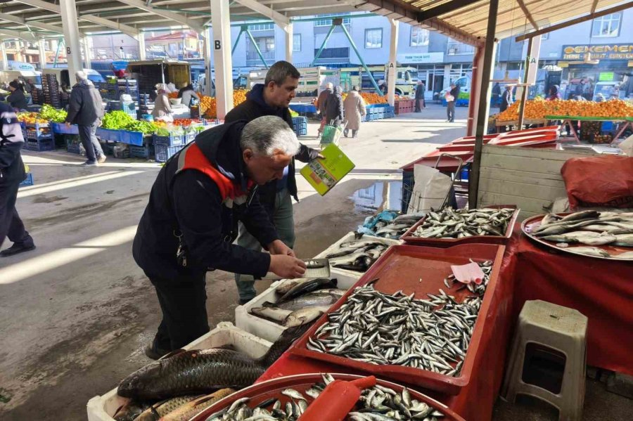 Beyşehir’de Yasa Dışı Avcılığa Geçit Yok, Beyşehir Gölü Ve Çevresi Didik Didik Arandı