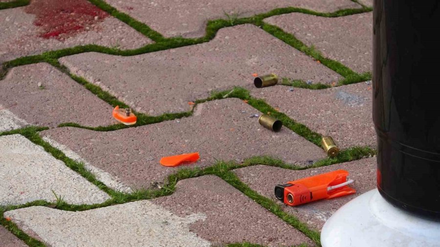 Ağabeyini Silahla Vurarak Öldürdü, Diğer Ağabeyinin Eşini De Yaraladı