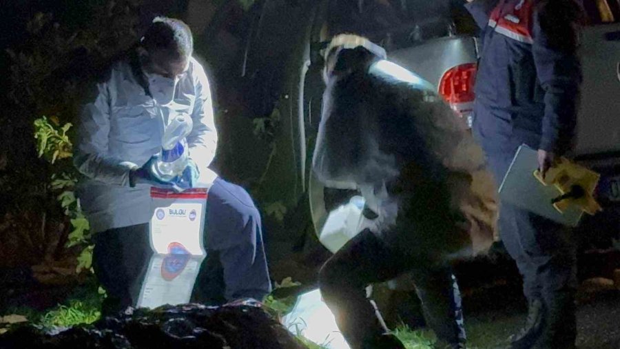 Antalya’da Araç İçinde Yanmış Ceset Bulundu