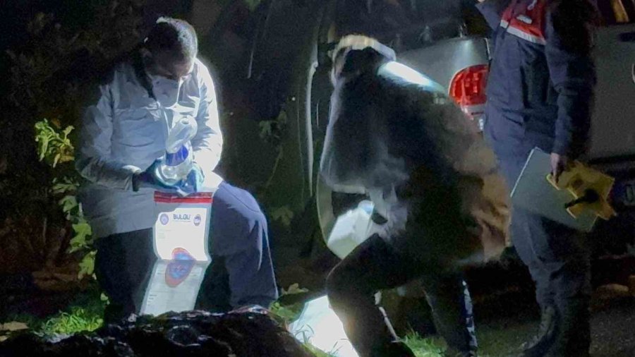 Antalya’da Araç İçinde Yanmış Ceset Olayında 4 Gözaltı