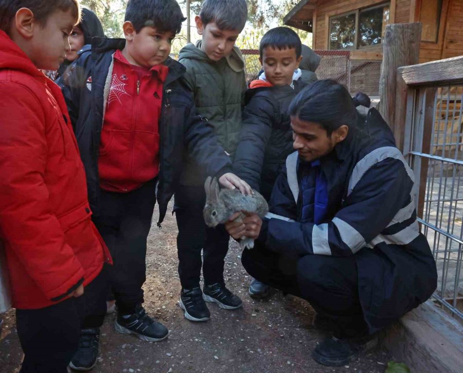 Doğal Yaşam Parkı’nda Çocuklara Hayvan Ve Doğa Sevgisi Aşılanıyor
