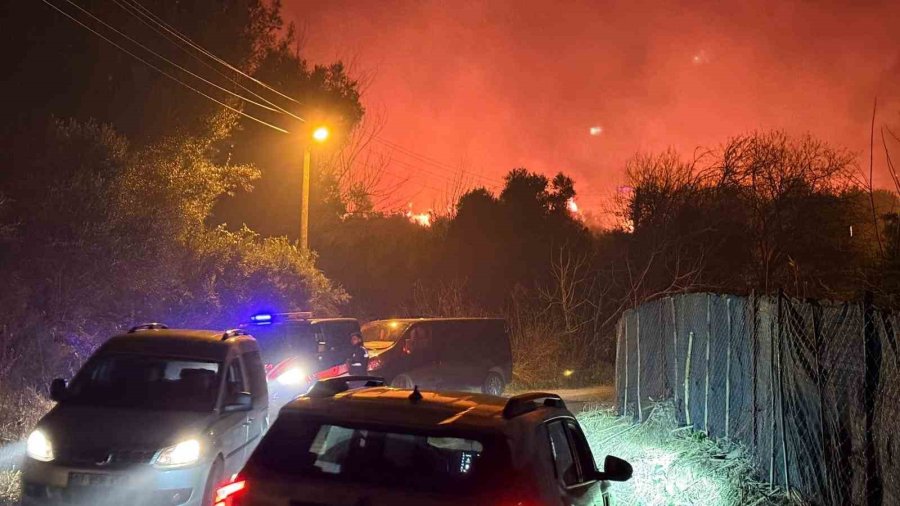 Antalya’da Orman Yangını